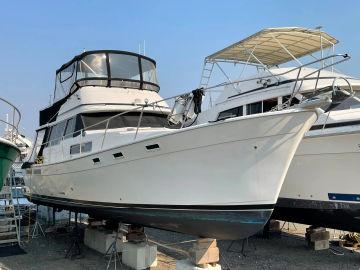 1985 Bayliner 3870 Motoryacht