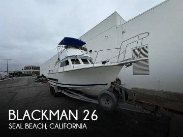 2003 Blackman 26 Billfisher