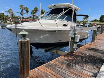 2006 ROBALO R265