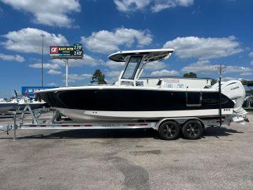 2025 ROBALO 250 CC