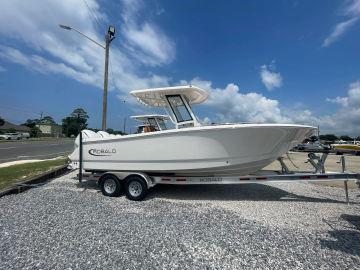 2024 ROBALO 250 CC