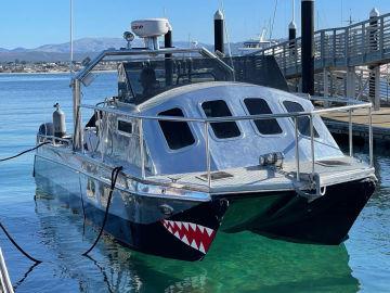 2006 Custom Aluminum Catamaran