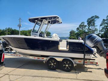 2023 ROBALO 250 CC