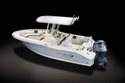 2024 Robalo R200 Center Console