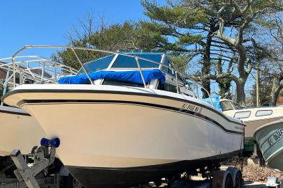 1982 Grady-White 220 Bimini