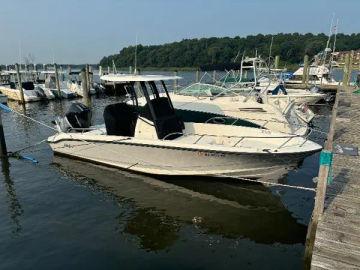 2023 Boston Whaler 250 DAUNTLESS