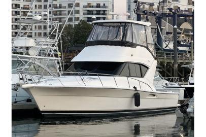 2001 Wellcraft 400 Coastal Riviera