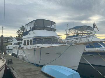 1980 Ocean Alexander 43 Motoryacht