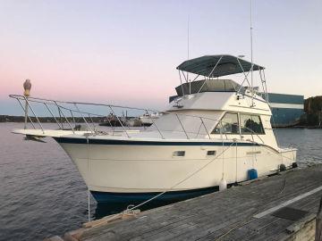 1977 Hatteras 37 Convertible