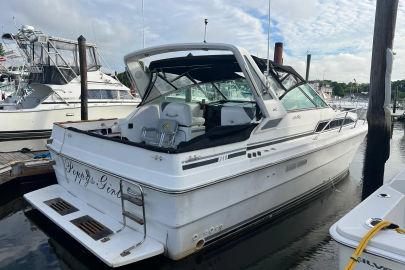 1989 Sea Ray Express Cruiser