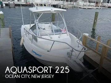 2001 Aquasport 225 Explorer