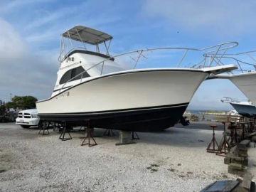 1989 Luhrs 320 Tournament