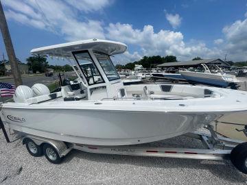 2024 ROBALO 250 CC