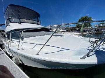 1987 Ocean Alexander 390 Sundeck