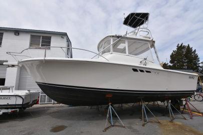 1993 Luhrs Tournament 290 Open