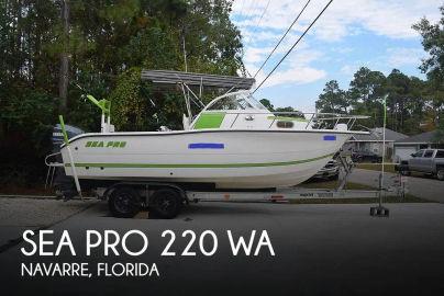 2002 Sea Pro 220 WA