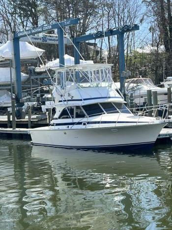 1986 Bertram 35'